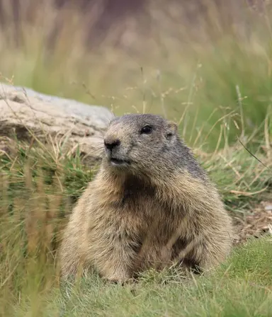 Miguel teirlinck B Wh N59nfbw M unsplash