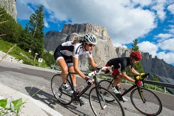 Shutterstock 543526135