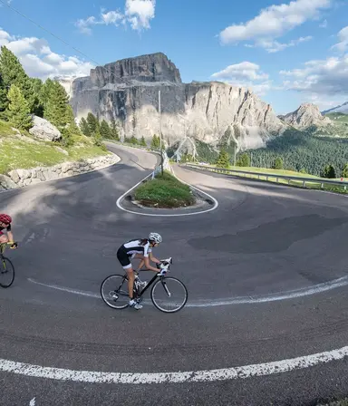 Shutterstock 543526126