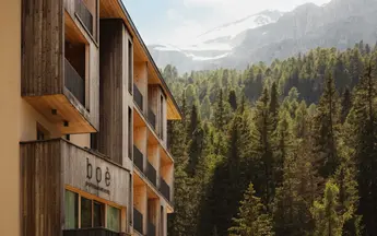 Alex Moling Hotel Boe 109