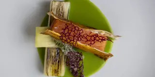 Prelibatezze di pesce